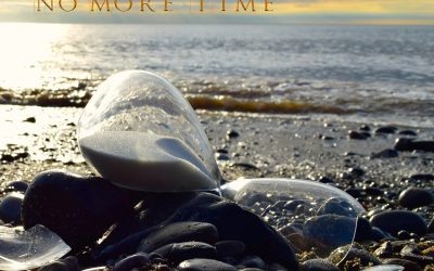 Darrel Treece-Birch – No More Time – Melodic Revolution Records