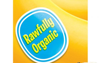 Paul D’Adamo’s Rawfully Organic now on Bandcamp