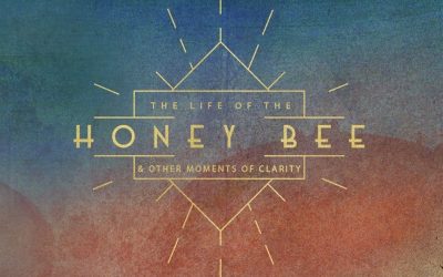 Abel Ganz to Release Long-Awaited Album “The Life of The Honey Bee, And Other Moments of Clarity“