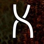 Profile picture of Spiral Key